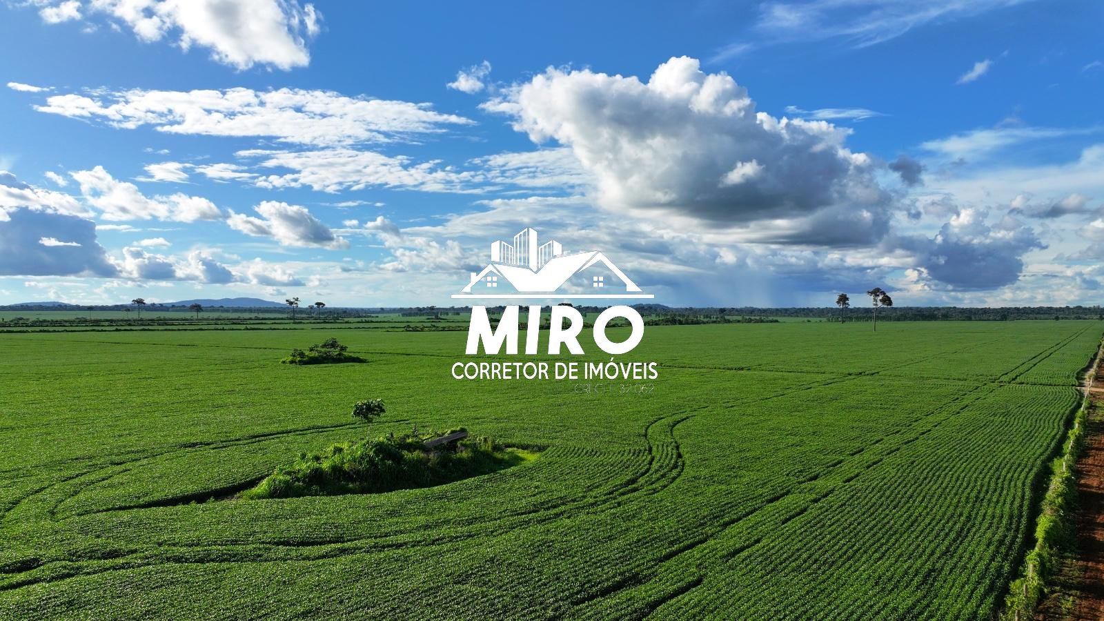 Fazenda à Venda em Rondônia – Região Vale do Guaporé, á 10 km da BR-429 - Imagem 1